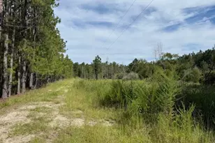 1655 Starling Rd, Pembroke, GA 31321 - Photo 6