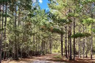 1655 Starling Rd, Pembroke, GA 31321 - Photo 8