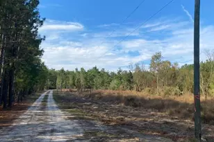 1655 Starling Rd, Pembroke, GA 31321 - Photo 10