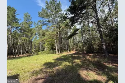 1655 Starling Road, Pembroke, GA 31321 - Photo 4