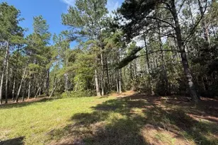 1655 Starling Rd, Pembroke, GA 31321 - Photo 4