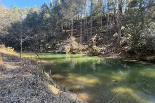 1281 High River Xing, Ellijay, GA 30540 - Photo 4