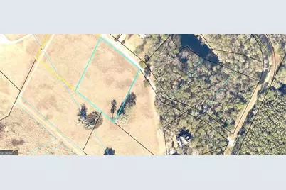 0 Mill Creek Road, Bartow, GA 30413 - Photo 2