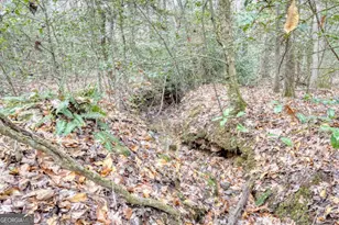 357 Nottely Woods Road E, Blairsville, GA 30512 - Photo 44