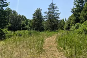 1949 Hwy 29 N, Danielsville, GA 30633 - Photo 22