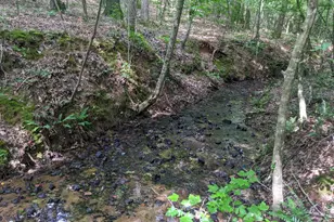 1949 Hwy 29 N, Danielsville, GA 30633 - Photo 24