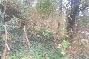 1139 McConnell Dr, Decatur, GA 30033 - Photo 1