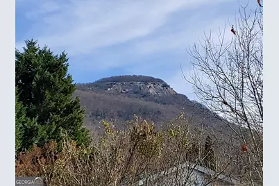 16 Dutchman Way, Cleveland, GA 30528 - Photo 18