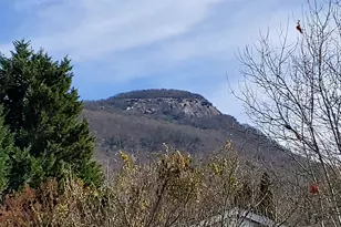 16 Dutchman Way, Cleveland, GA 30528 - Photo 18