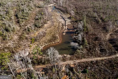 10544 S Hwy 17, Wadley, GA 30477 - Photo 22