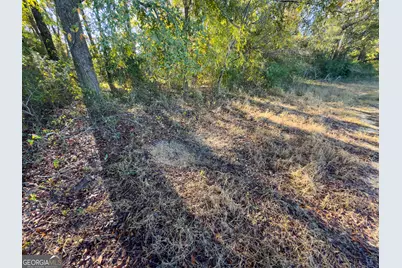10544 S Hwy 17, Wadley, GA 30477 - Photo 36