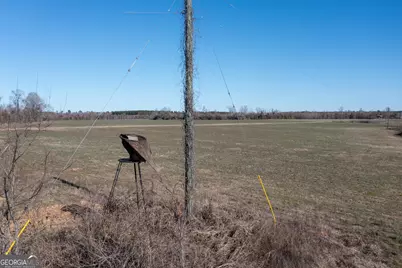 10544 S Hwy 17, Wadley, GA 30477 - Photo 8