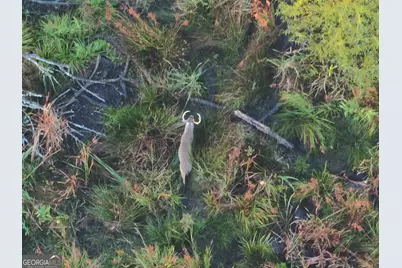 10544 S Hwy 17, Wadley, GA 30477 - Photo 2