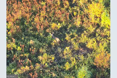 1 S Hwy 17, Wadley, GA 30477 - Photo 20