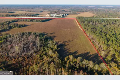 1 S Hwy 17, Wadley, GA 30477 - Photo 2