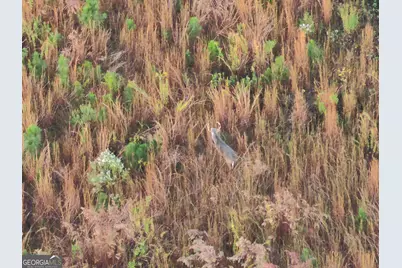 1 S Hwy 17, Wadley, GA 30477 - Photo 16