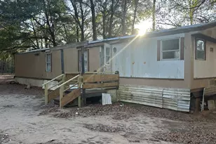 34 Hall Rd, Hawkinsville, GA 31036 - Photo 4