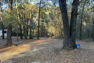 34 Hall Rd, Hawkinsville, GA 31036 - Photo 10