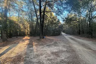 34 Hall Rd, Hawkinsville, GA 31036 - Photo 14