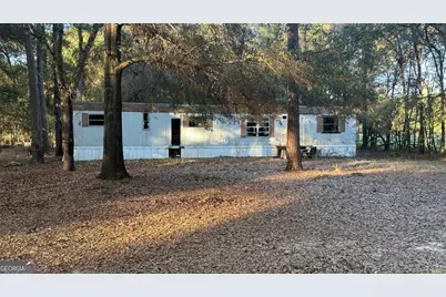 34 Hall Road, Hawkinsville, GA 31036 - Photo 2