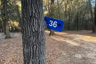 34 Hall Rd, Hawkinsville, GA 31036 - Photo 12