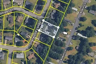 162 Sherwood Loop, McDonough, GA 30253 - Photo 16