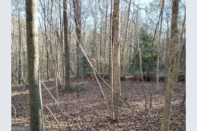 000 Garrison Shoals Rd, Lula, GA 30554 - Photo 2