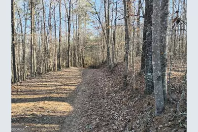 000 Garrison Shoals Rd, Lula, GA 30554 - Photo 10