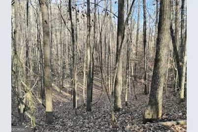 000 Garrison Shoals Rd, Lula, GA 30554 - Photo 12