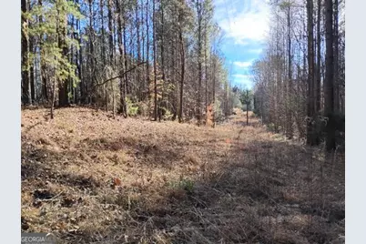 0000 Garrison Shoals Rd, Lula, GA 30554 - Photo 26