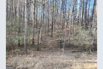 0000 Garrison Shoals Rd, Lula, GA 30554 - Photo 10