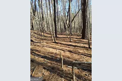 0000 Garrison Shoals Rd, Lula, GA 30554 - Photo 24