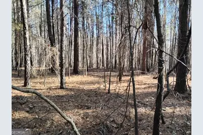 0000 Garrison Shoals Rd, Lula, GA 30554 - Photo 16