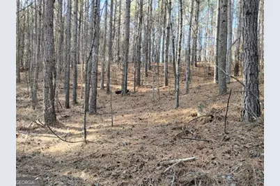 0000 Garrison Shoals Rd, Lula, GA 30554 - Photo 14