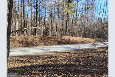 0000 Garrison Shoals Rd, Lula, GA 30554 - Photo 6