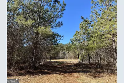 7800 Veazey Road, White Plains, GA 30678 - Photo 18