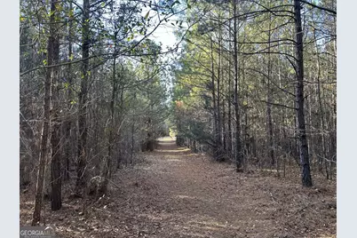 7800 Veazey Road, White Plains, GA 30678 - Photo 10