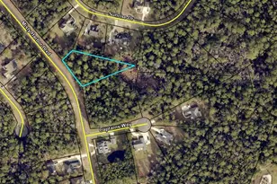 Vl 161 Misty Harbor Blvd, Woodbine, GA 31569 - Photo 1