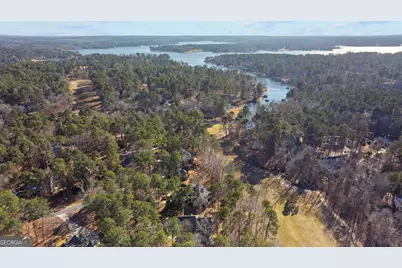 1301 Planters Trail, Greensboro, GA 30642 - Photo 10