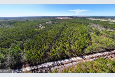 15.56 Acres N McDonald Road, Waycross, GA 31503 - Photo 10
