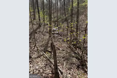 0 Laurel Branch, East Ellijay, GA 30540 - Photo 10