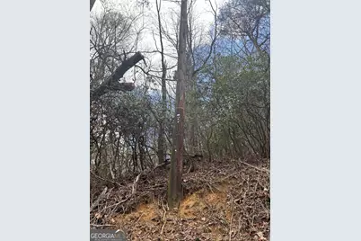 0 Laurel Branch, East Ellijay, GA 30540 - Photo 12