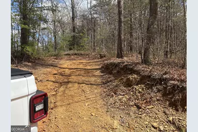 0 Laurel Branch, East Ellijay, GA 30540 - Photo 2