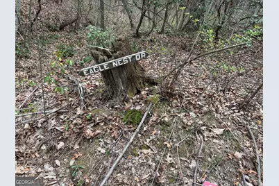 0 Laurel Branch, East Ellijay, GA 30540 - Photo 6