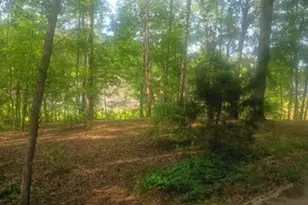 5429 Hwy 123, Toccoa, GA 30577 - Photo 42