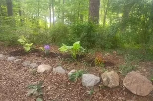 5429 Hwy 123, Toccoa, GA 30577 - Photo 44