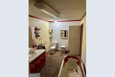 171 Hoyt Road, Milner, GA 30257 - Photo 26