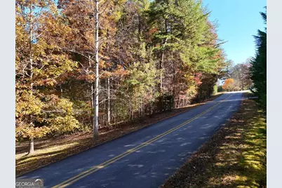 Lot 4 Lance Crossing, Blairsville, GA 30512 - Photo 4