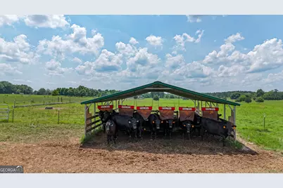 0 Grab All Hill E, Montezuma, GA 31063 - Photo 10