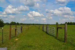 0 Grab All Hill E, Montezuma, GA 31063 - Photo 6